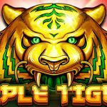 Triple Tigers: Auman Harimau yang Membawa Keberuntungan!