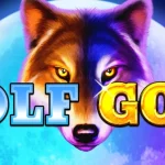Terbaru Wolf Gold Bawa Banyak 2000 Asmara