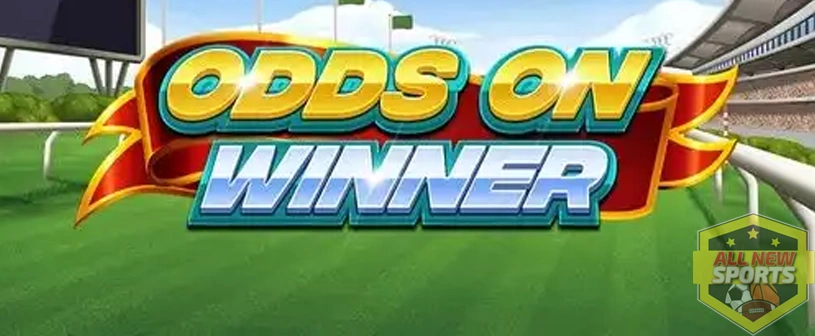 Odds On Winner Review Update Terbaru 2026